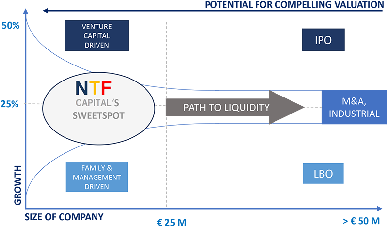NTF Capital strategy graphic
